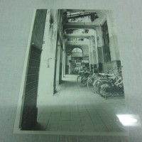 CIMG3109