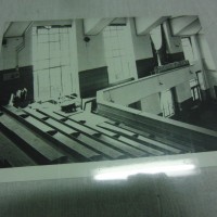 CIMG3113